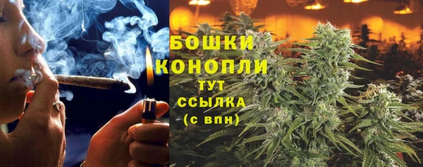 СК Аркадак