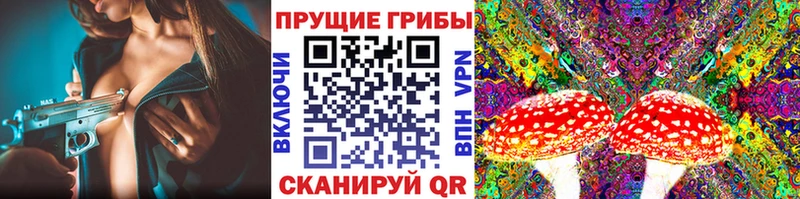 даркнет какой сайт  Оса  Галлюциногенные грибы Psilocybine cubensis 