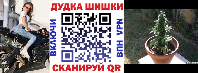 MEGA маркетплейс  Оса  Каннабис White Widow 